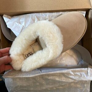 Brand new Ugg slippers never worn in box!